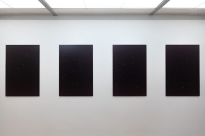 Jenna Sutela_Sugar Prints_Giovanni Salice